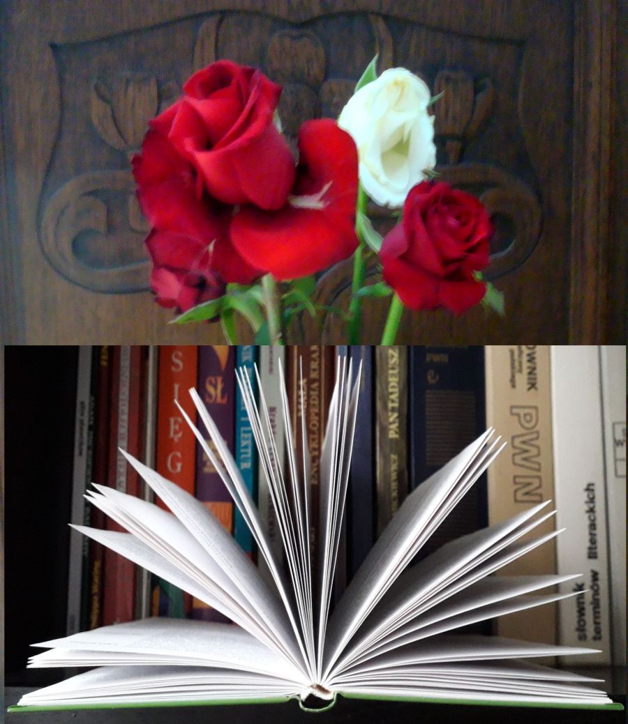 Książka i róża
